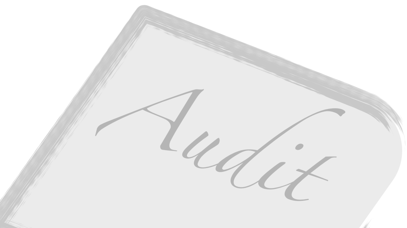 Audit